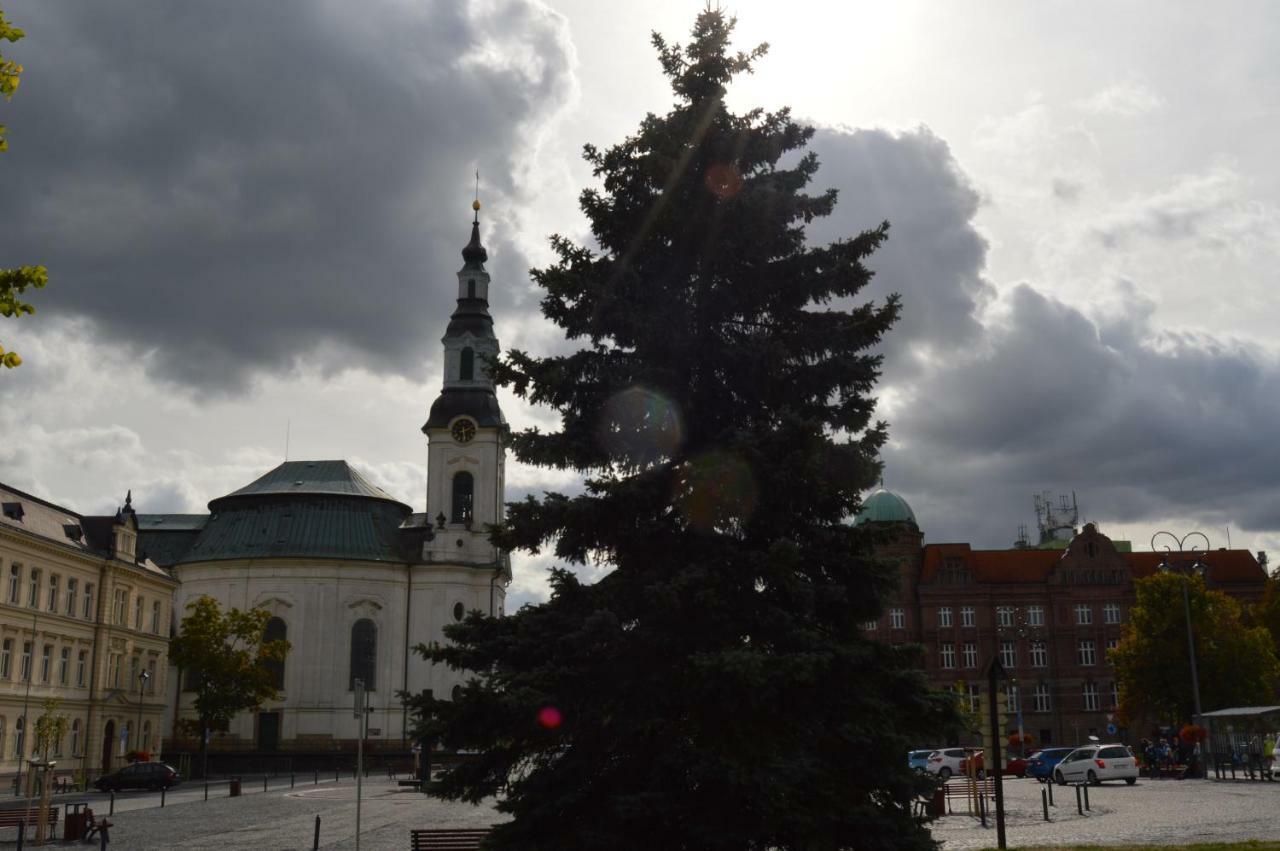 Vila Lipa Nový Bor Esterno foto