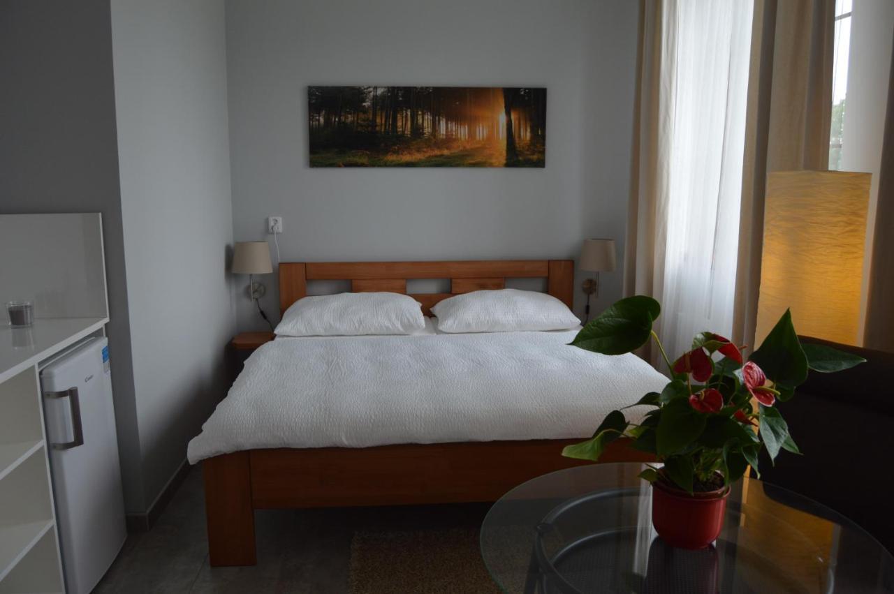 Vila Lipa Nový Bor Esterno foto